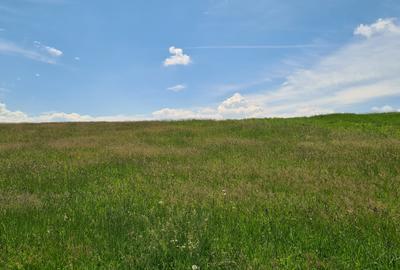 TEREN INTRAVILAN  BOD - 1200 mp pentru constructii case Sp+P+E+M - 9