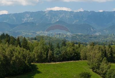 Teren Panoramic in Bran Vedere spre Bucegi & Piatra C... - 4