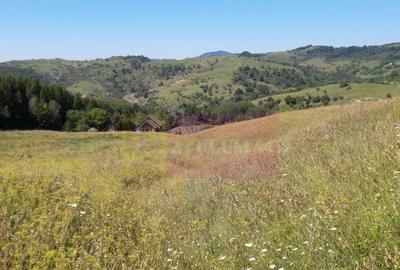 Teren intravilan de vanzare in Breaza (dezvoltare imobili... - 2