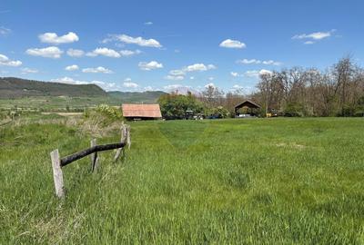 Teren de 659000 mp, în Central - 14