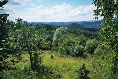 Teren de 37500 mp, în Barbura - 5