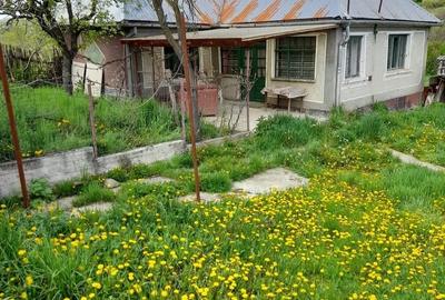 Casă cu Teren 3096 Mp în Boianu Mare - 3