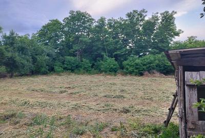 Casă cu 3 camere în Chiselet - 1