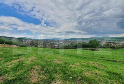 Teren intravilan, 1000mp, Aleea Trifoiului - 3