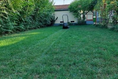Vând casa în Lugoj, str Oituz - 11