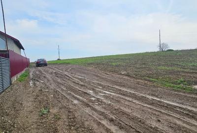 Teren Construcții extravilan de 6000 mp, în Șendreni - 1