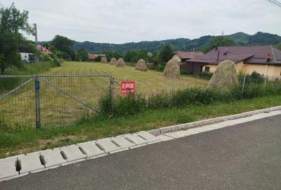 Teren de 3136 mp, în Podu Cheii - 5