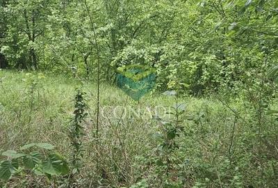 Teren Construcții intravilan de 800 mp, în Exterior Vest - 15