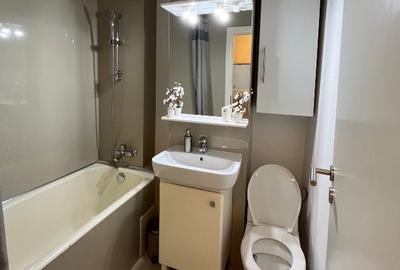 Apartament 1 camera- Spitalul Municipal Timisoara- de inchiriat - 9