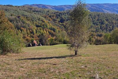 Teren extravilan in localitatea Bulz - 3