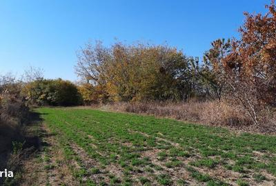 Casă cu 4 camere în Hăbud - 2