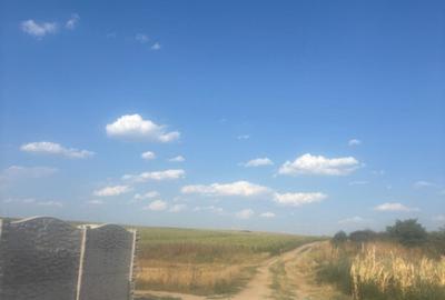 Teren intravilan, 500mp, zona Malu Mare, comision 0% Teren intravilan, 500mp, zona Malu Mare, comision 0% - 5