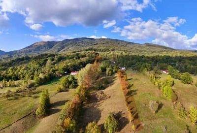 Vand teren in Corbeni, Arges - 6