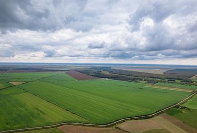 Teren arabil de 2912 hectare in Vaslui - 2