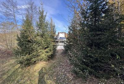 Teren de 13167 mp, în Bughea de Sus - 4