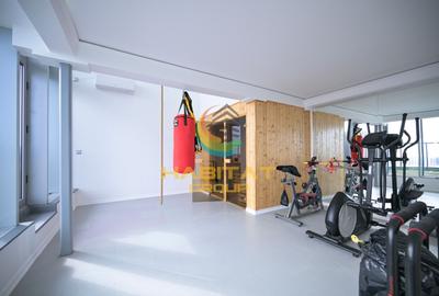Penthouse cu 5 camere decomandat, mobilat în Mihai Bravu - 8