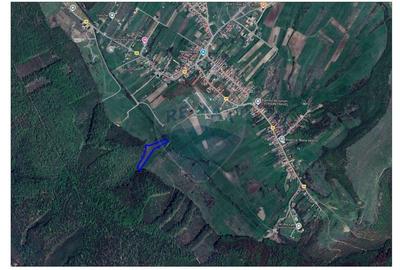 Teren agricol intravilan de 9465 mp, în Betfia - 3