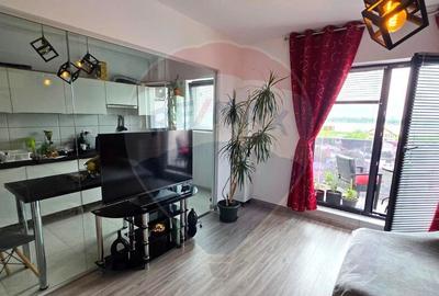 Apartament de inchiriat cu vedere la lac - 20