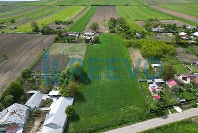 Teren de vanzare, Sat Valea Mare, Com. Ro?iori, Bacau - 4