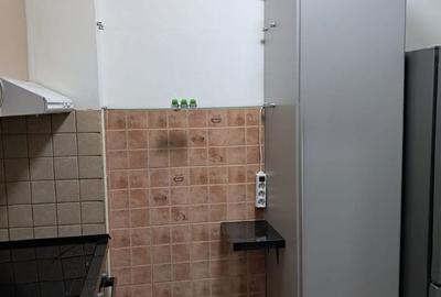 Apartament cu 2 camere în Șega - 4