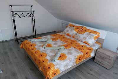 Apartament de inchiriat zona Techirghiol - Iesire spre Eforie Nord - 6