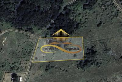 Teren intravilan in Fantanele | Hemeius - de vanzare - 6