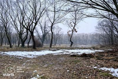 Spațiu comercial, în Central - 1
