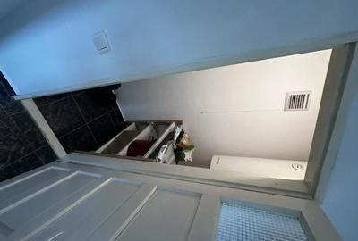Casă cu 2 camere cu Teren 2700 Mp în Mica - 10
