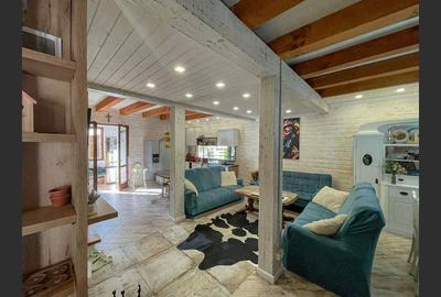 Casa de vacanta superba in Crivaia - 3