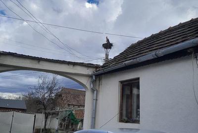 Casă cu 6 camere cu Teren 9000 Mp în Orăștioara de Jos - 2