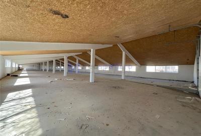 Spațiu comercial, de 3,510 mp, în Miroslovești - 3