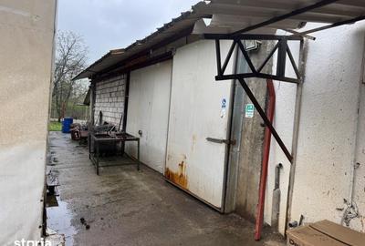 Spațiu comercial, de 1,056 mp, în Cristian - 9
