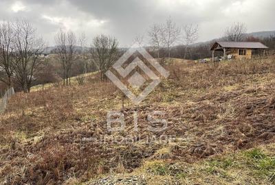 Teren Intravilan 1279m str.Lempeș - 3