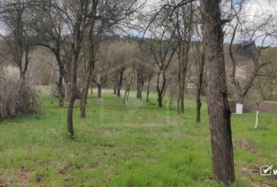 Teren Construcții intravilan de 2034 mp, în Baciu - 2