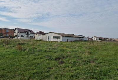 Teren de 10000 mp, în Sânandrei - 1
