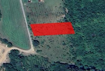 Teren de 2700 mp, în Tălmaciu - 2