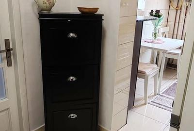 Apartament cu 2 camere semidecomandat, mobilat în Dacia - 5