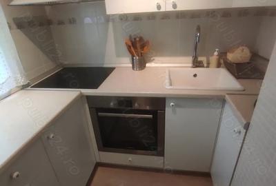 Garsoniera confort lux - Municipiul Brad, Hunedoara - 3