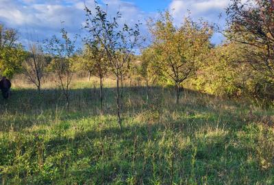 Spațiu comercial, în Deleni - 7