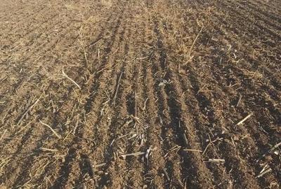 Teren de 7500 mp, în Valea Călugărească