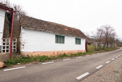 RECO Casa de vacanta la Holod- langa padure- teren 2190mp - 36