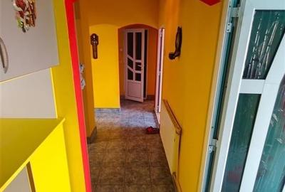 Apartament 4 camere decomandat 2 bai pivnita zona Turnisor - 8