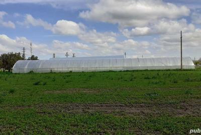 Casă cu 7 camere în Brastavățu - 2