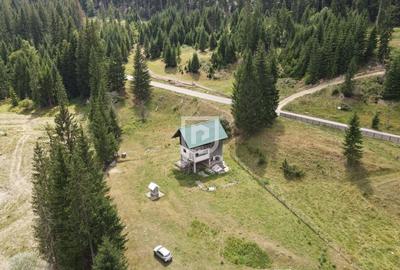 Teren Voronet 4700mp INTRAVILAN | Gura Humorului | Bucovina - 4