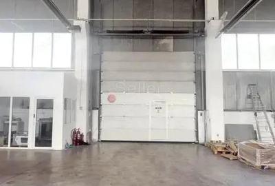 Spatiu Productie Logistica si Depozitare - 3