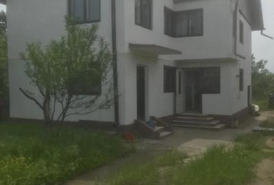 Casă cu 5 camere cu Teren 4900 Mp în Valea Ursoii - 6