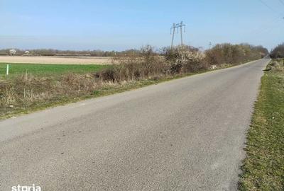Teren de 37400 mp, în Homoroade - 2