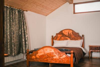 Pensiune 8 dormitoare Gureni, Gorj - 3