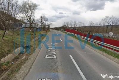 Teren de 4007 mp, în Boșoteni - 1