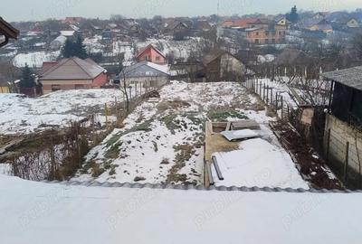 Casă cu Teren 924 Mp în Giarmata - 6